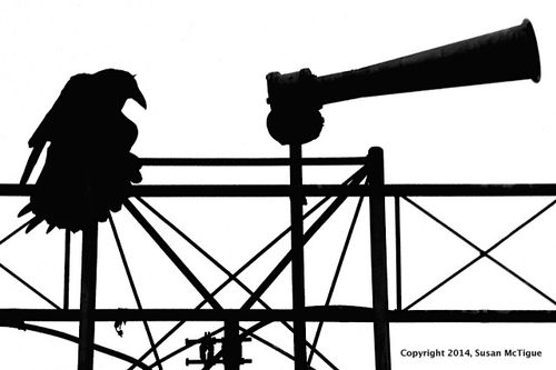 Mictigue silhouette