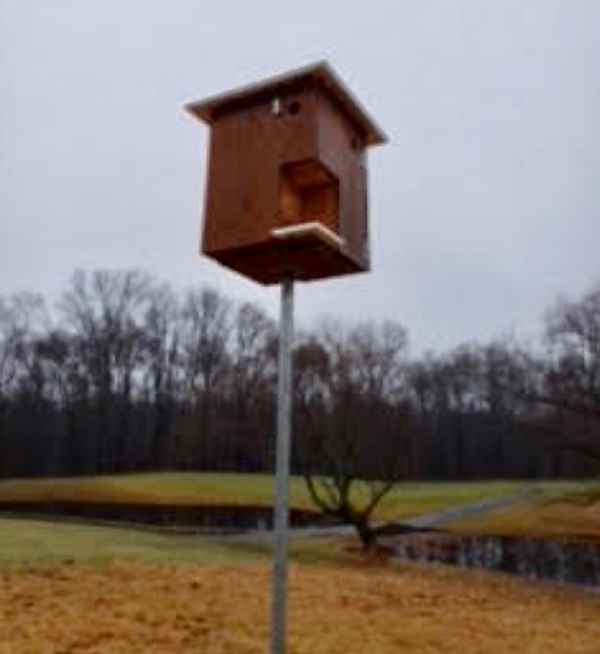 Birdhouse (2)
