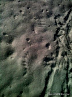 1-IMG_1111(1)