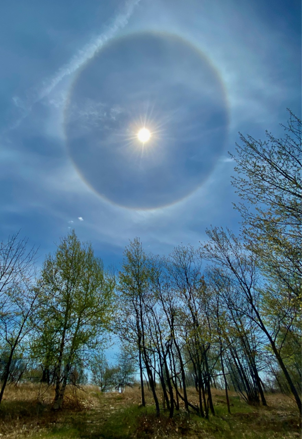 High MT JWRIGHT Sun Dog IMG_1424