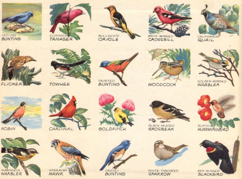 Img20230702_17571042