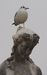 DSCN9435