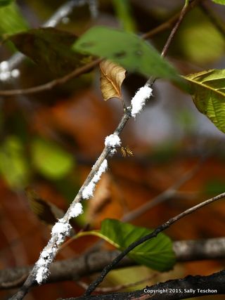 IMG_0871(1)