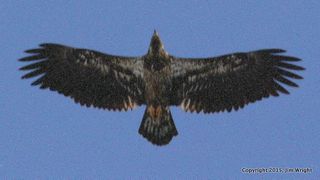 IMG_0550-001