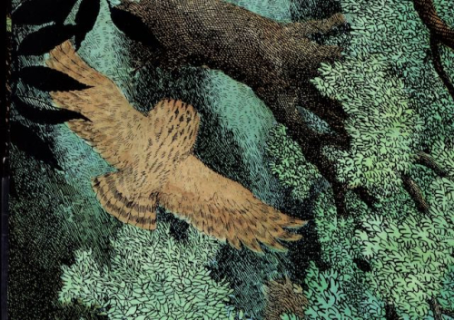 Img20220126_20491654