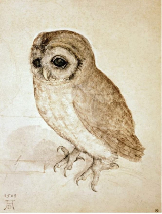 Screen Shot 2022-01-03 at 4.23.41 PM