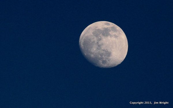IMG_9398-001