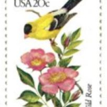 Screen Shot 2020-01-17 at 12.23.16 PM