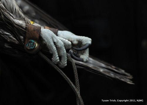 122711_ParkRidge_Bird_0006