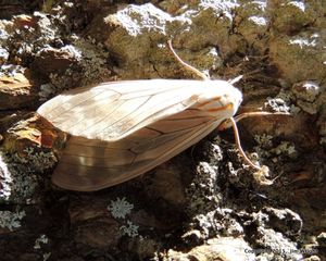 DSCN9964-001