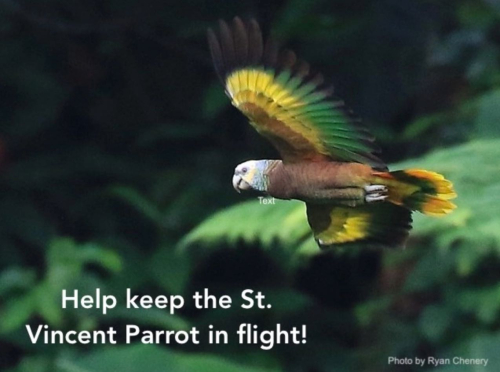 Screen Shot 2021-05-03 at 7.46.53 AM