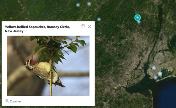 Screen Shot 2020-12-19 at 12.24.16 PM