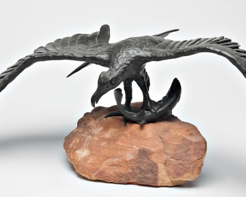 Naranjp Eage and Fish