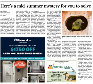 TheRecordBergenEdition_20250731_F04_1-page-001