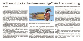 1710414367967-cbc513e8-2c03-4f10-9a72-b0dca5252b83_1