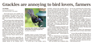 TheRecordBergenEdition_20210708_LF03_0-page-001