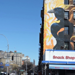 Fish crow JW DSCN0576