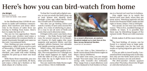 Bird Wtacher 040220 Screen Shot 2020-04-02 at 5.17.20 AM