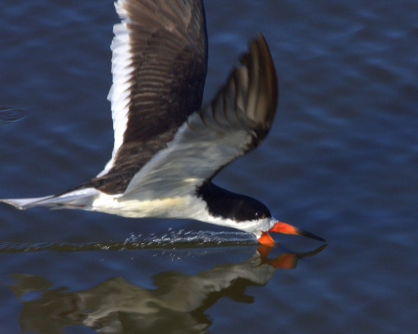 BS Jim Wright_0343 (4)