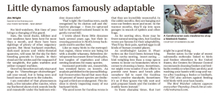 Wright Bird Watcher TheRecordBergenEdition_20210415_LF03_0-page-001