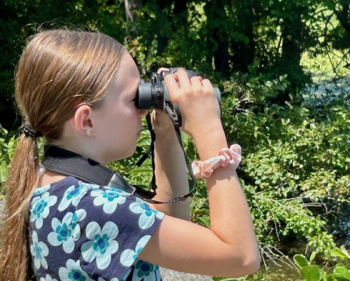Emily the Birder JWrightIMG_2648 (3)