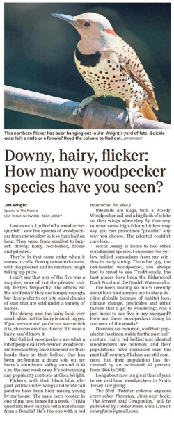 TheRecordBergenEdition_20230622_LF03_0-page-001