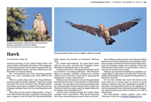 Screen Shot 2018-12-27 at 8.44.18 AM