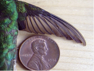 Screenshot 2025-04-02 at 2.02.28 PM