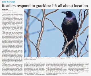 Screen Shot 2021-08-05 at 6.58.33 AM