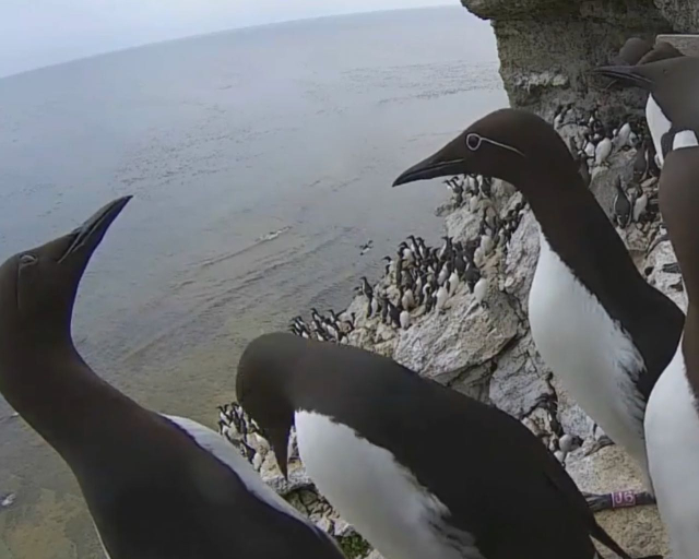 Screen Shot 2021-02-08 at 2.57.51 PM