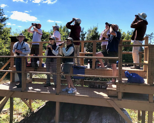 Mount Peter Hawk Watch (1)