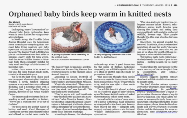 Bird watcher nest column