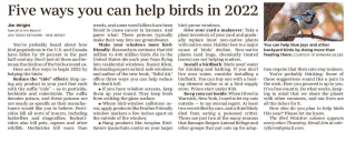 Wright BirdWatcher TheRecord_20220127_LF03