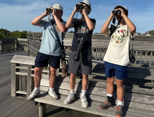 Screenshot 2025-05-28 at 9.43.58 AM