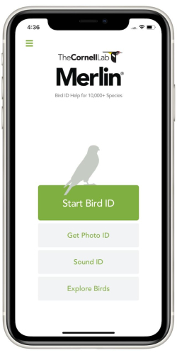 Merlin Bird ID - Home - 10000 birds