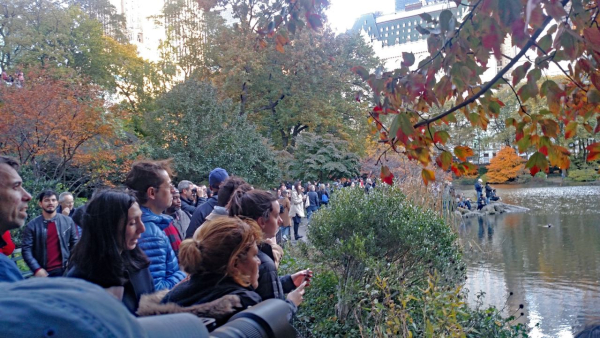 F Virrazzi onlookers at Central Park 2