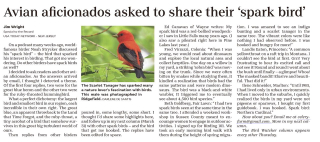 Screen Shot 2022-03-17 at 8.04.45 AM