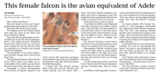 JWright RecordBergenEdition_20211028_LF03_0-page-001(1)