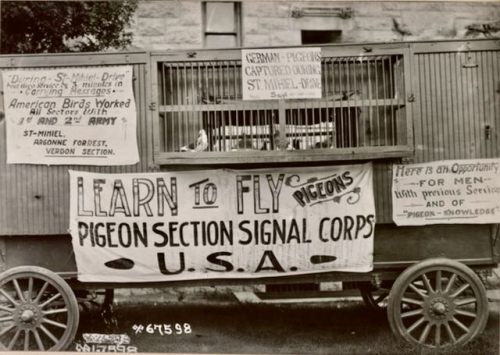 Screen Shot 2021-10-30 at 9.00.51 PM