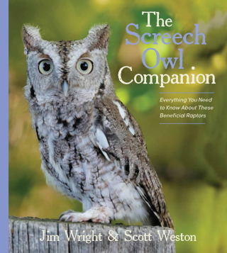 Owl_cover1