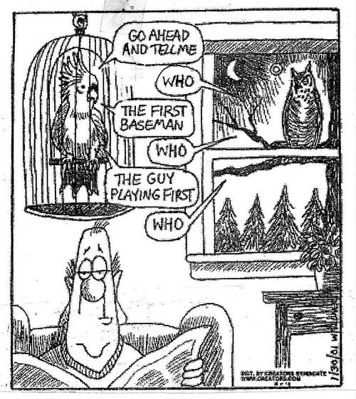 Birding cartoon