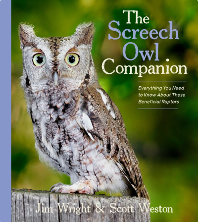 Screech Owl Cover