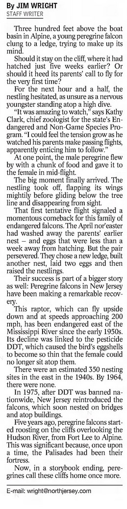 Screen Shot 2021-10-29 at 4.32.43 PM (1)