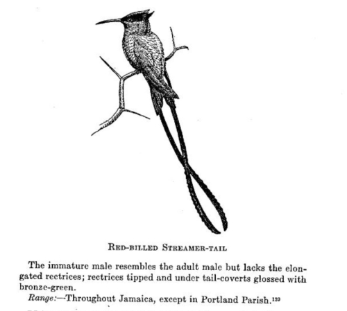 Screenshot 2023-04-11 at 11.27.41 AM