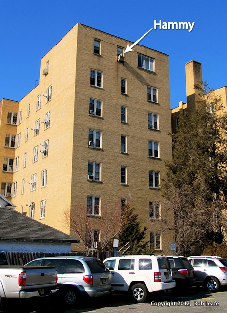 �Bob Leafe IMG_0226 Hammy On High 2-14-11