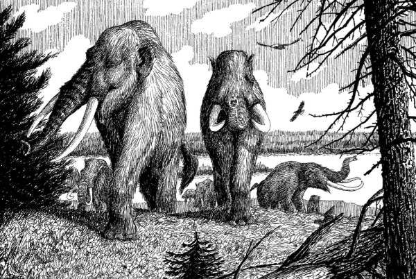 John Quinn from his book