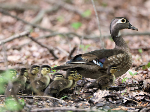 KWatson 2025-05-08 301(2)