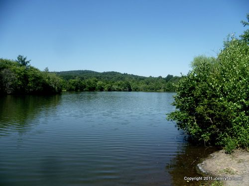 Franklin Lakes Preserve