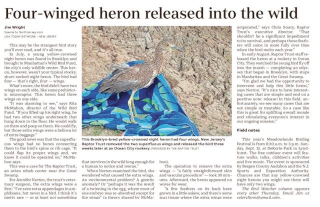 J Wright 4-winged Heron TheRecordBergenEdition_20210902_LF03_0(1)-page-001