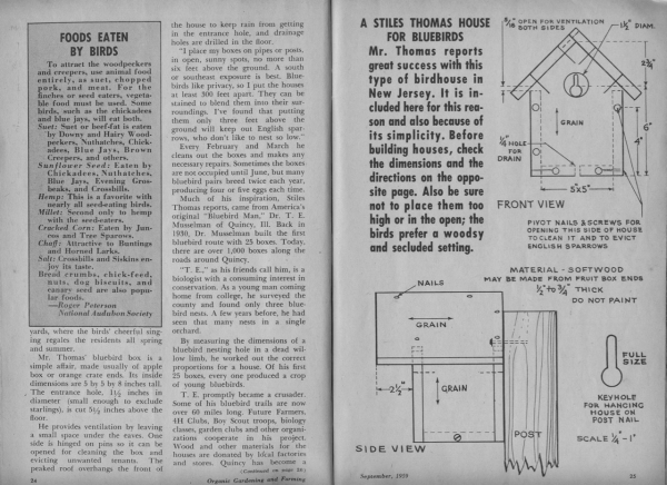 Stiles bluebird story 2